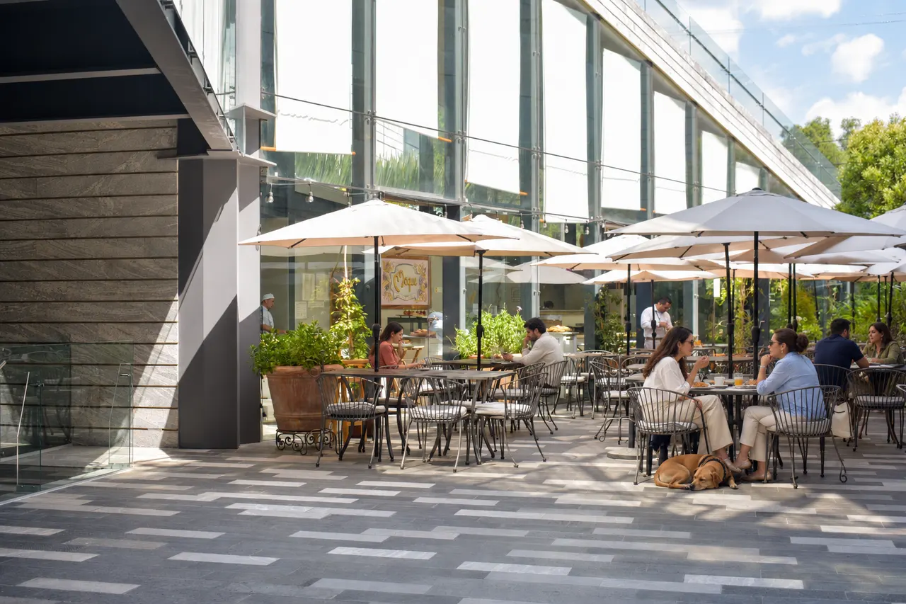 Terraza de Maque en TOBA: mesas bajo sombrillas blancas junto a la fachada de cristal, gente desayunando y un perro echado a la sombra